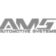 AMS logo