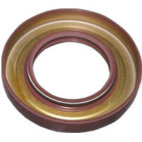 Transfer case seal