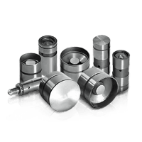 Hydraulic lifters