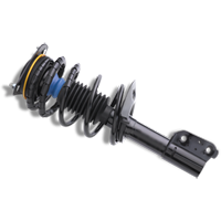 Strut assembly