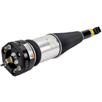 Air struts