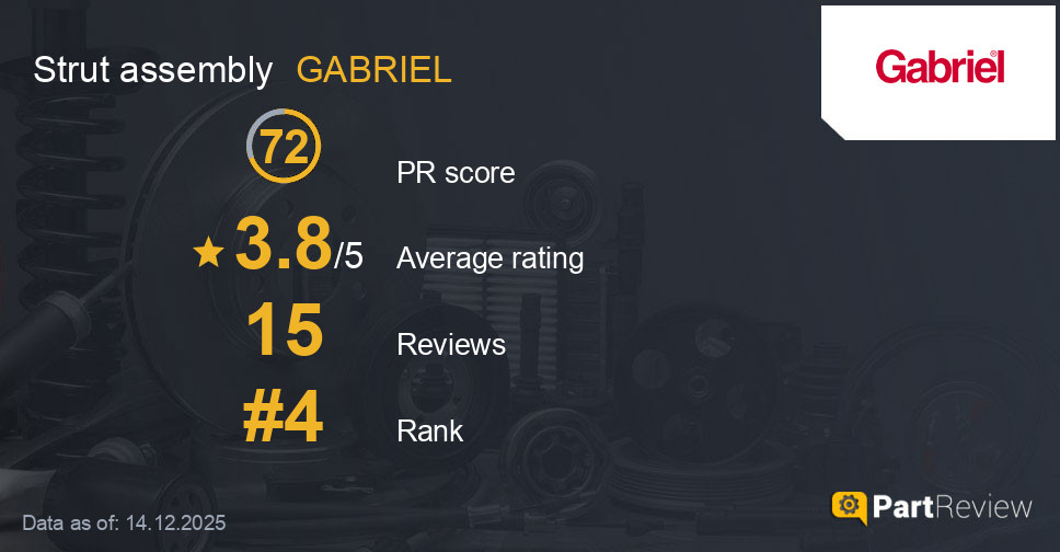 Reviews of GABRIEL strut assembly